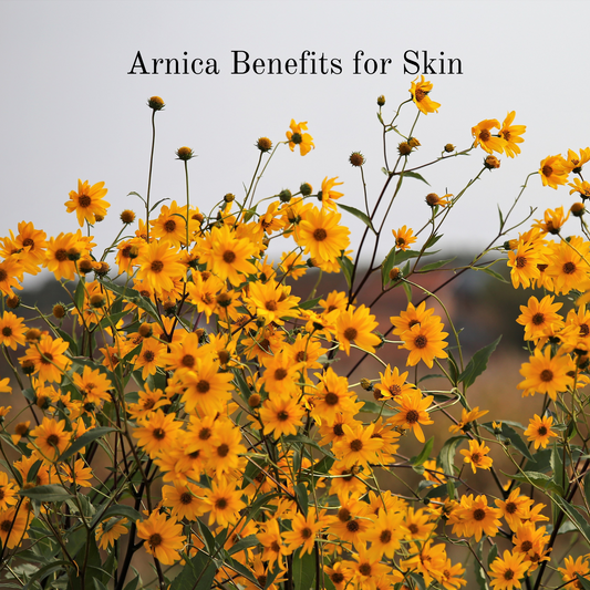 arnica benefits for skin