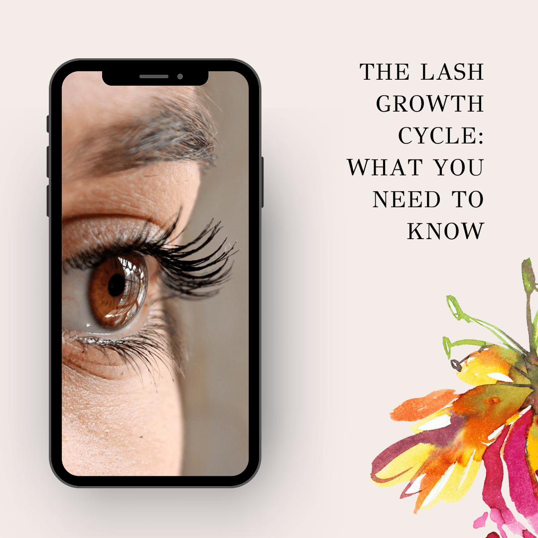 Eyelash Growth Cycle ৹ Better Growth Tips - Claribelskincare.com