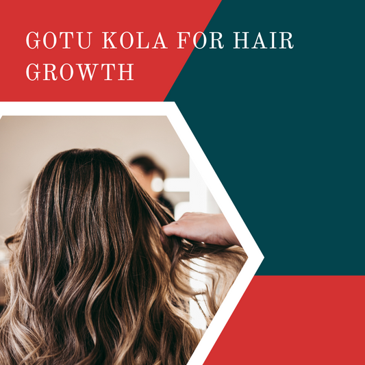 gotu kola for hair growth / gotu kola for hair