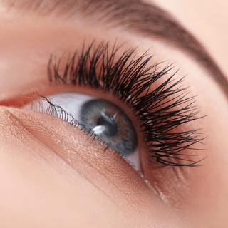 Natural Oils to Grow Eyelashes: From Thin to Thick - Claribelskincare.com