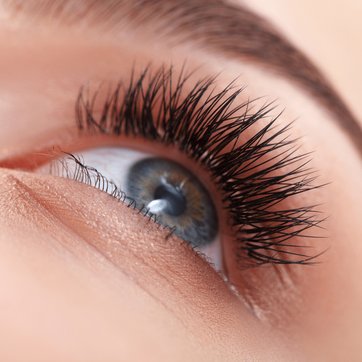 Natural Oils to Grow Eyelashes: From Thin to Thick - Claribelskincare.com