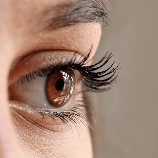What Helps Eyelashes Grow? 5 Proven Tips to Help - Claribelskincare.com
