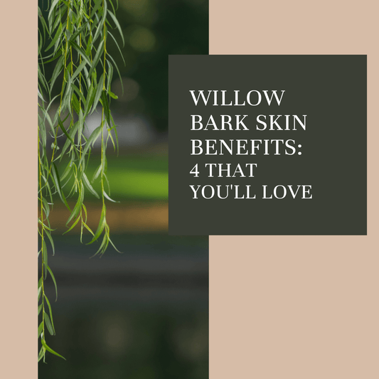 Willow Bark Skin Benefits: 4 You’ll Love - Claribelskincare.com