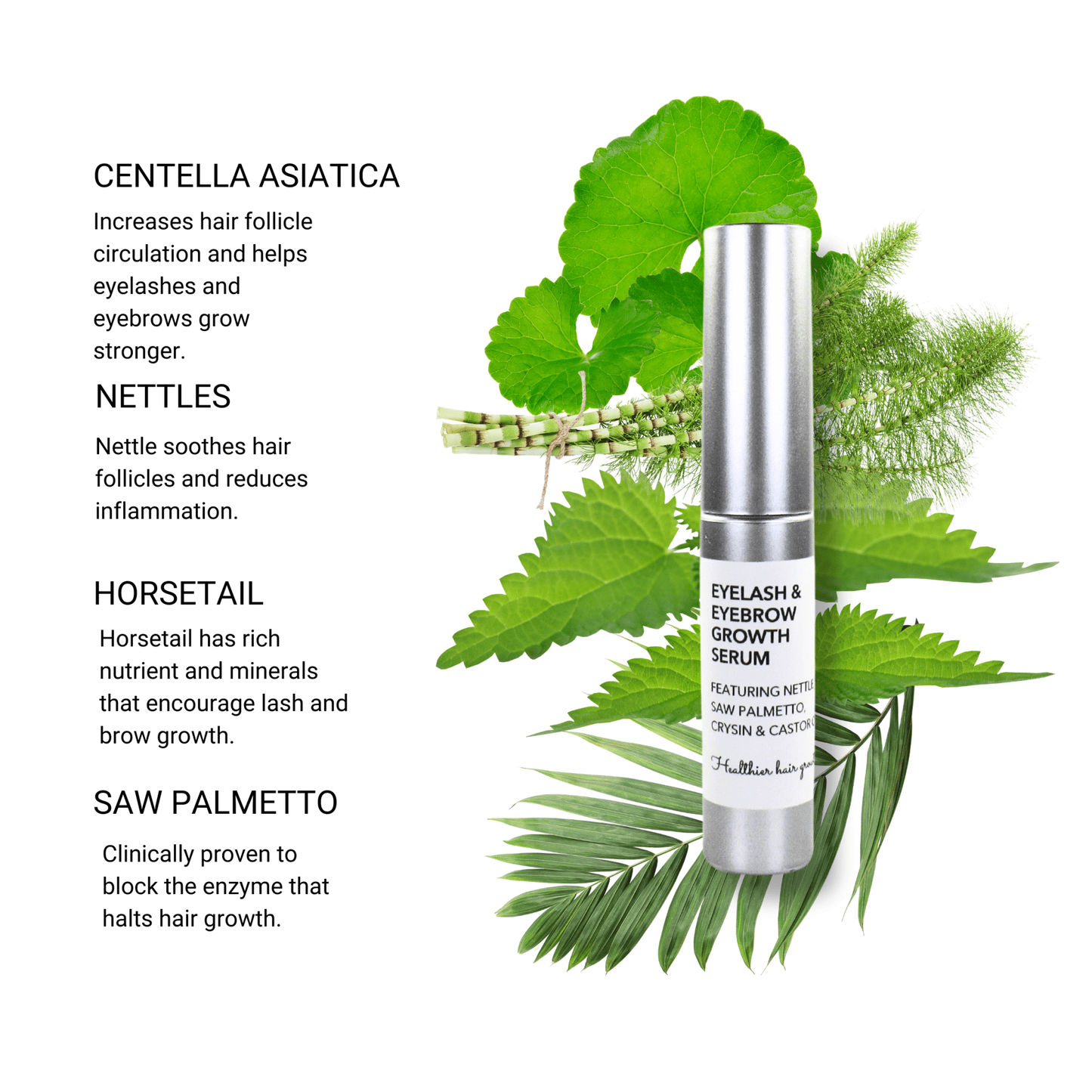 Eyelash and Eyebrow Growth Serum