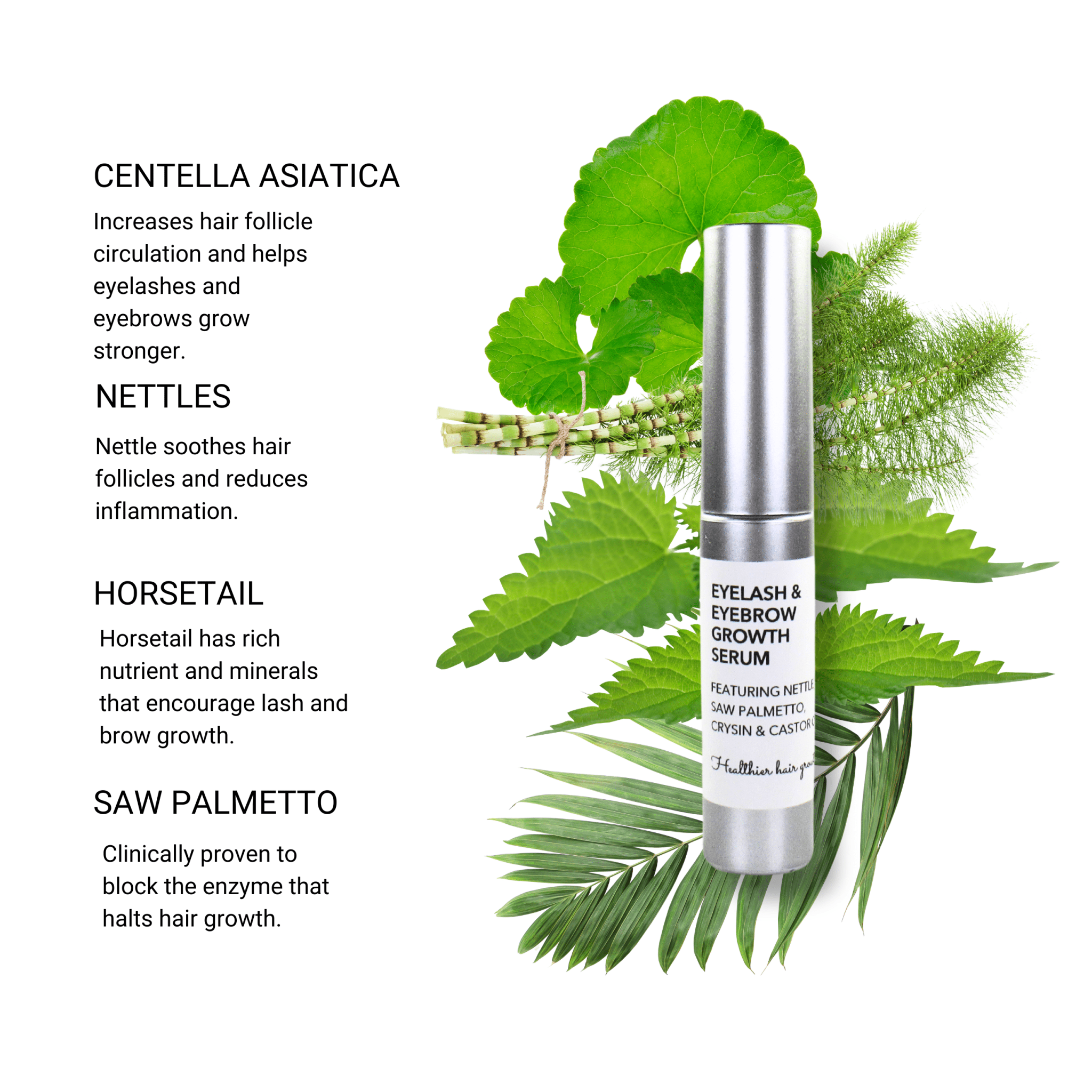 Eyelash and Eyebrow Growth Serum