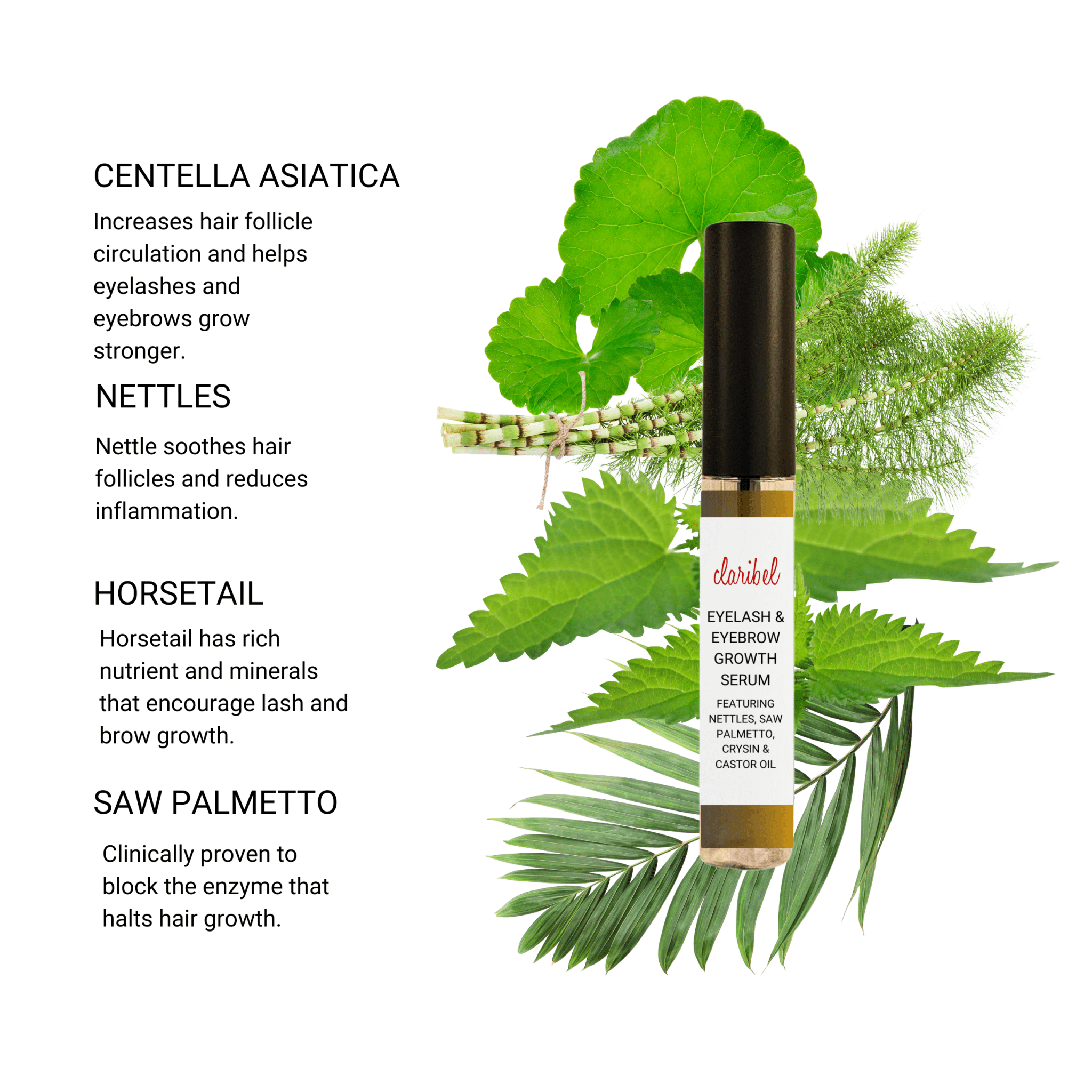 Eyelash and Eyebrow Growth Serum