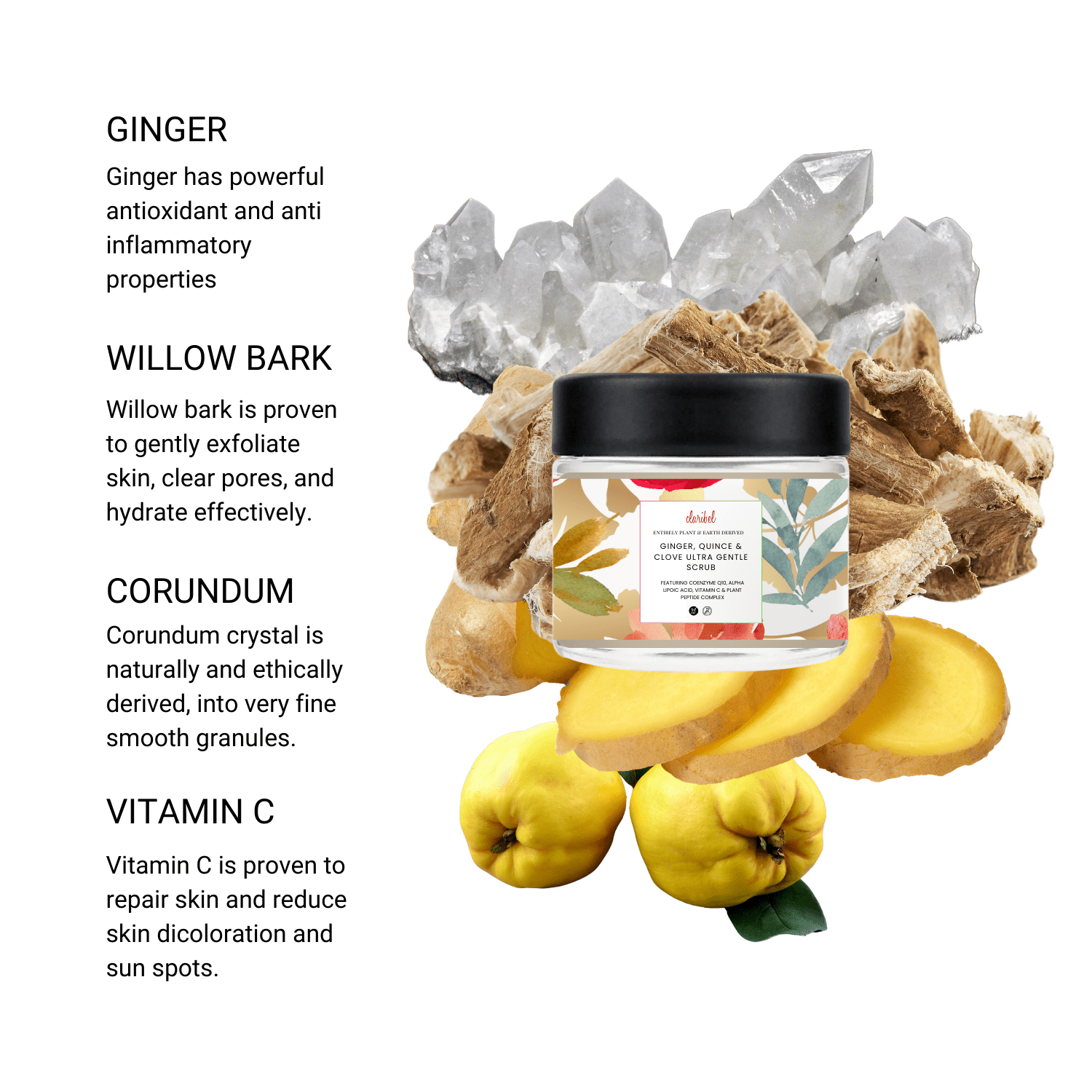 Ginger, Quince & Clove Ultra Gentle Scrub