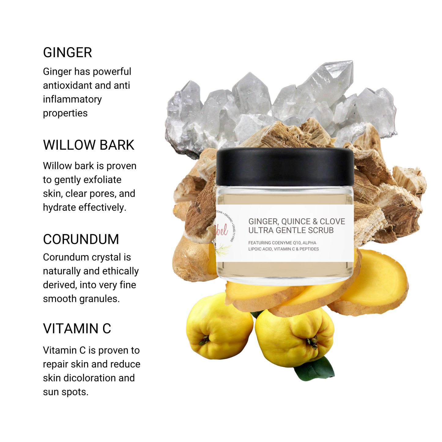 Ginger, Quince & Clove Ultra Gentle Scrub