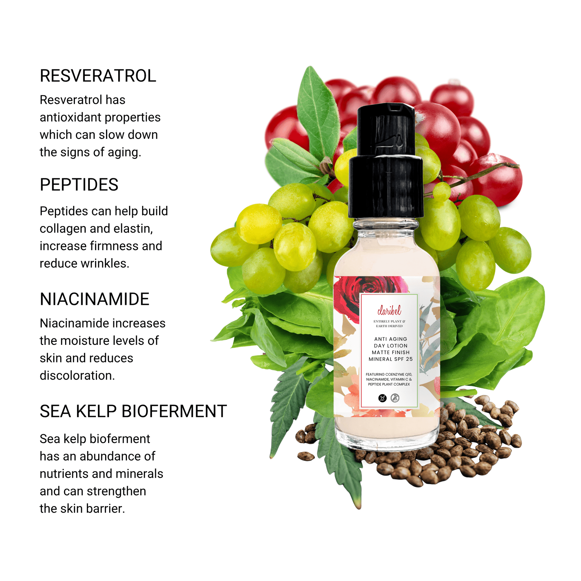Matte Finish Daily Lotion Mineral SPF 25